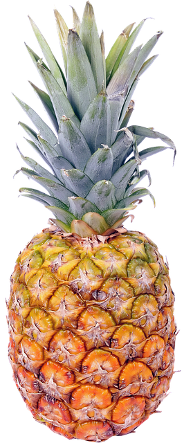 Het wonderlijke groeiproces van een ananas: een diepgaande verkenning